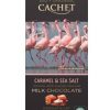 Cachet Chocolate con leche con Caramelo y Sal (Bio)